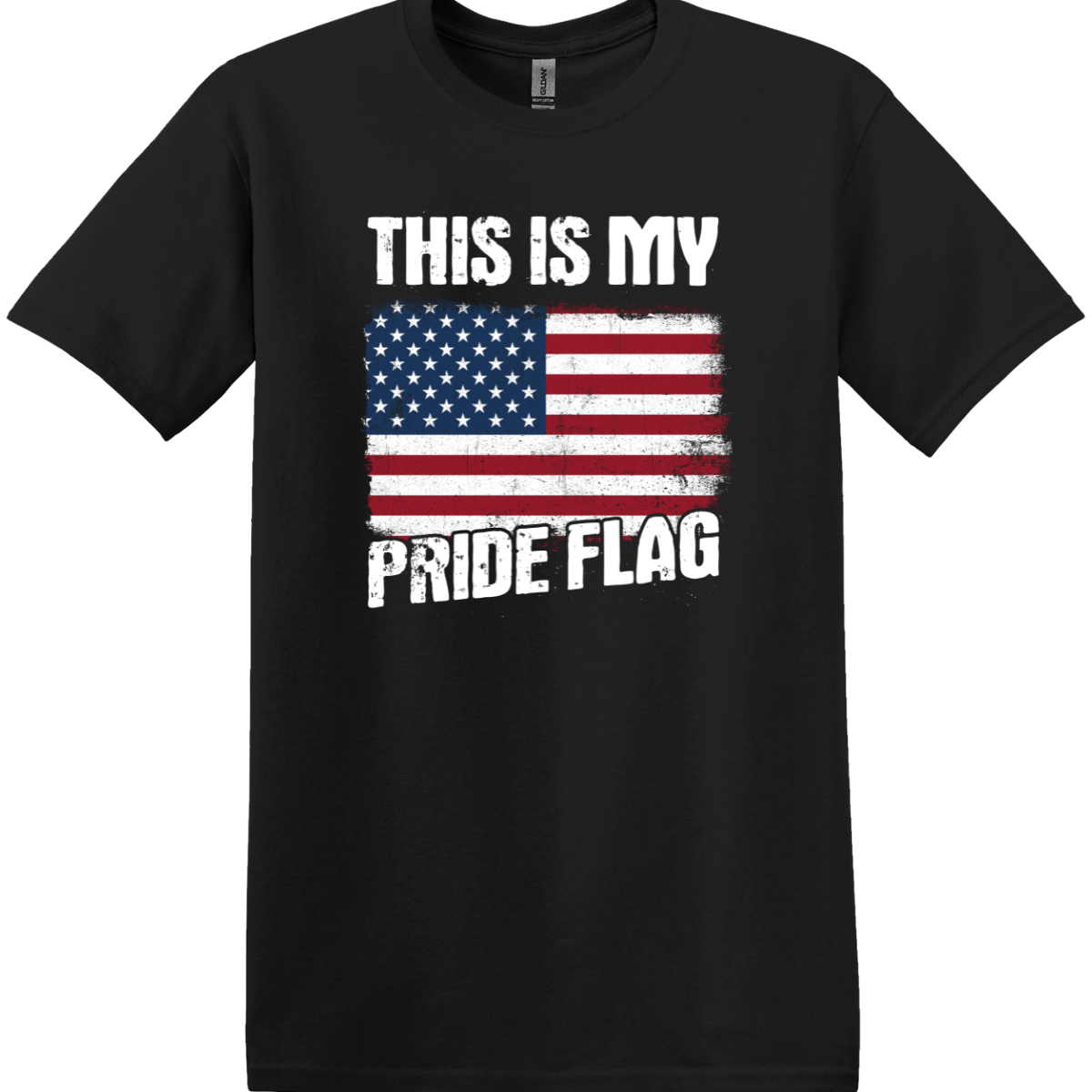 This Is My Pride Flag Tee