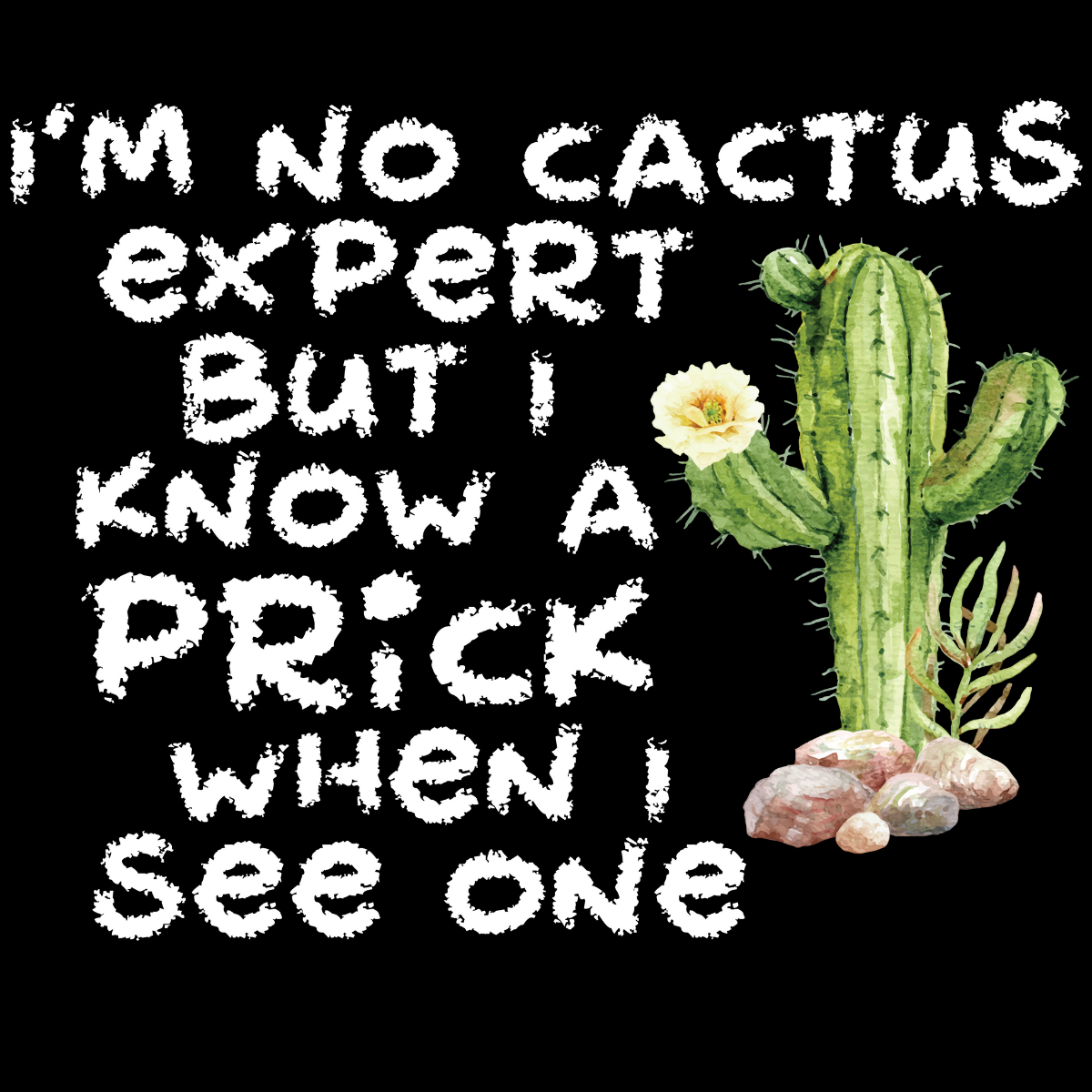 I'm No Cactus Expert Hoodie